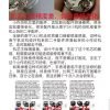 31235 SBF 沛納海441一體機芯, 動能窗升級版來啦,採用P9001?一體機芯升級